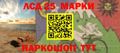 индика Гагарин