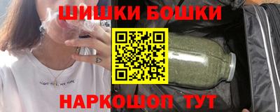индика Гагарин