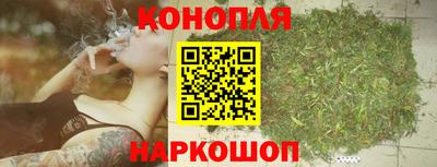 jwh Гатчина
