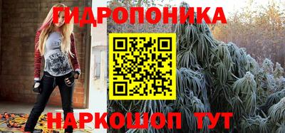 jwh Гатчина