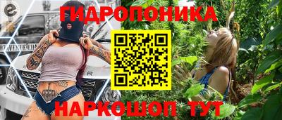 индика Гагарин
