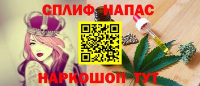 jwh Гатчина