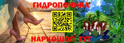 индика Гагарин