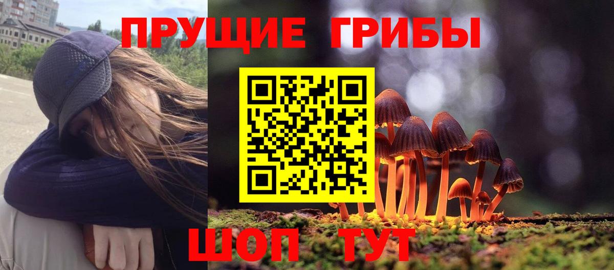 Дедовск  где купить наркоту  Вход с VPN  Псилоцибиновые грибы GOLDEN TEACHER 
