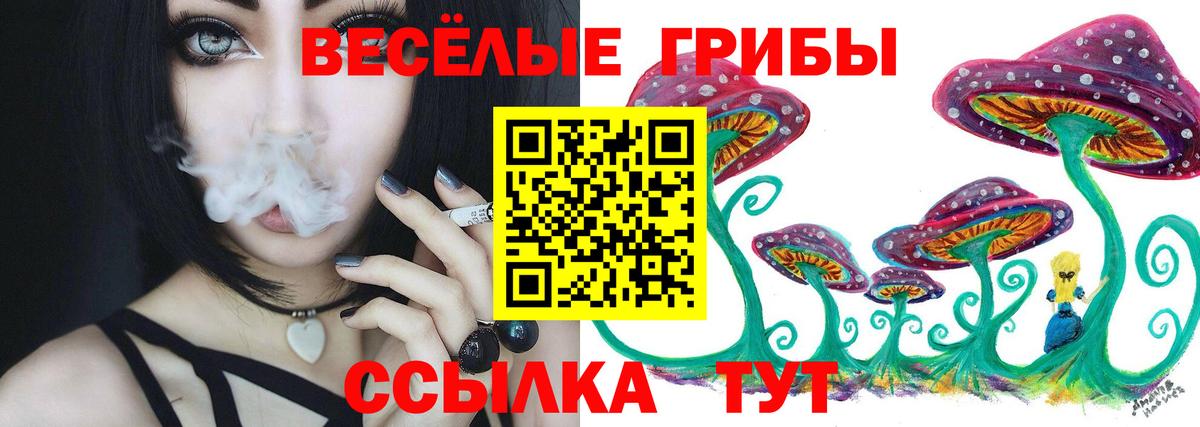 Галлюциногенные грибы мицелий Дедовск